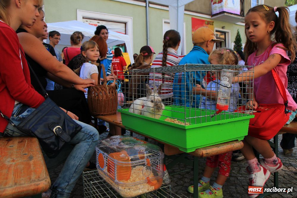 Zdjęcie w galerii na portalu naszraciborz.pl: Gryzonie wystartowały na Długiej wiadomości z regionu