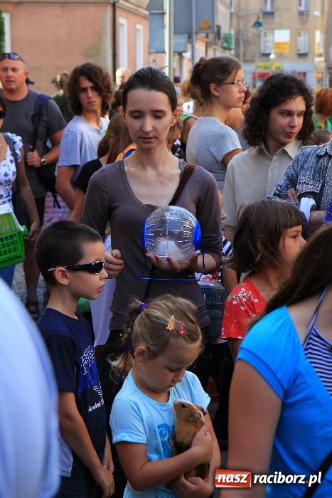 Zdjęcie w galerii na portalu naszraciborz.pl: Gryzonie wystartowały na Długiej wiadomości z regionu