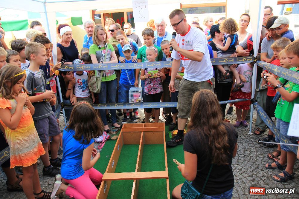 Zdjęcie w galerii na portalu naszraciborz.pl: Gryzonie wystartowały na Długiej wiadomości z regionu