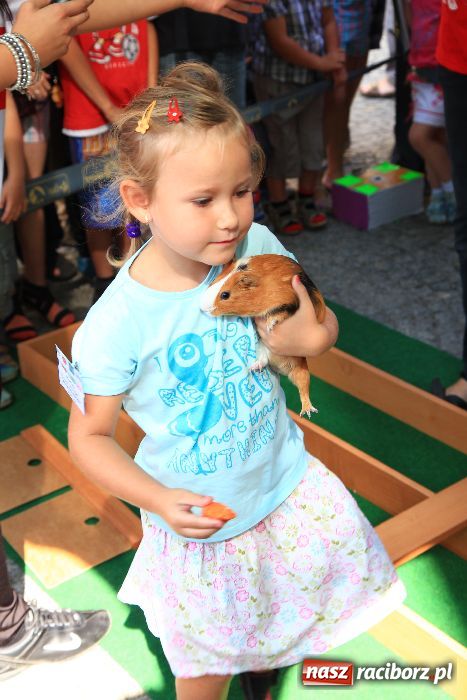 Zdjęcie w galerii na portalu naszraciborz.pl: Gryzonie wystartowały na Długiej wiadomości z regionu
