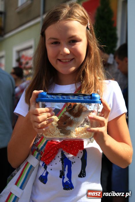 Zdjęcie w galerii na portalu naszraciborz.pl: Gryzonie wystartowały na Długiej wiadomości z regionu