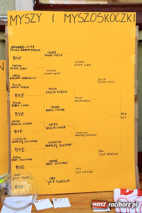 Zdjęcie w galerii na portalu naszraciborz.pl: Gryzonie wystartowały na Długiej wiadomości z regionu