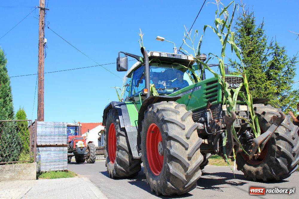 Zdjęcie w galerii na portalu naszraciborz.pl: Wesoły korowód w Roszkowie wiadomości z regionu