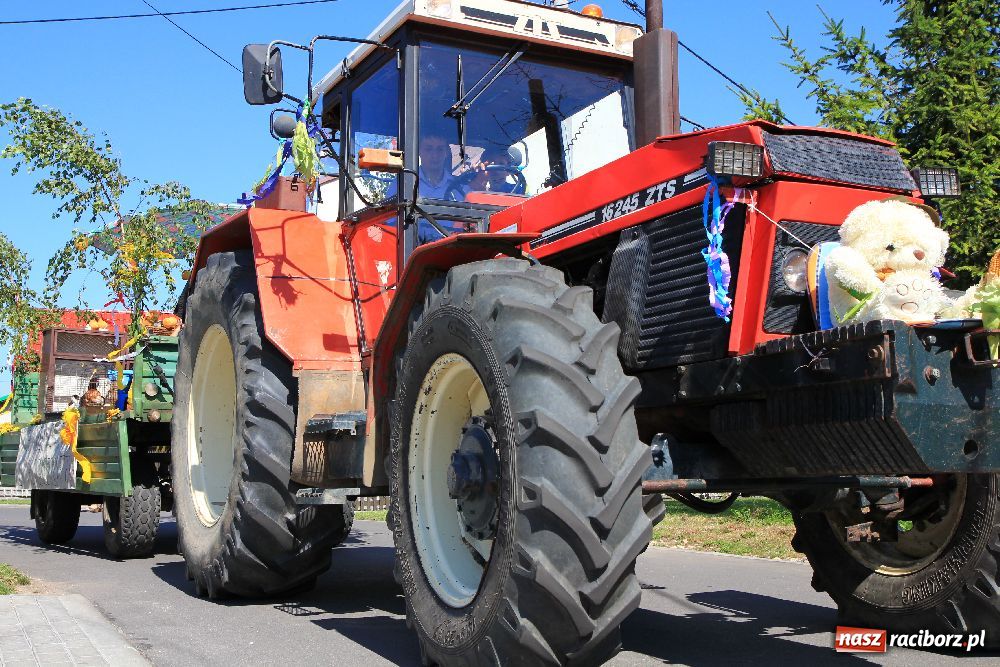 Zdjęcie w galerii na portalu naszraciborz.pl: Wesoły korowód w Roszkowie wiadomości z regionu