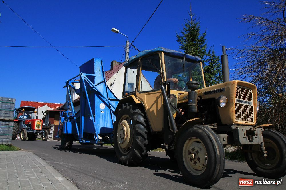 Zdjęcie w galerii na portalu naszraciborz.pl: Wesoły korowód w Roszkowie wiadomości z regionu