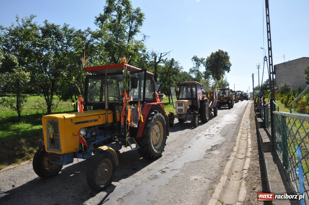 Zdjęcie w galerii na portalu naszraciborz.pl: Gminne dożynki w Szonowicach wiadomości z regionu