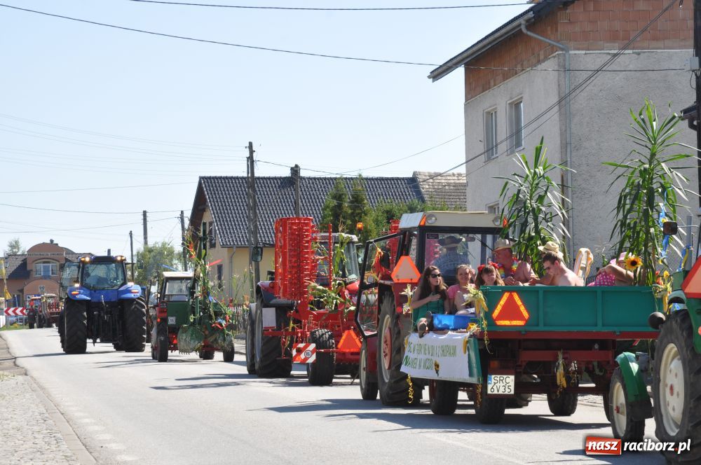 Zdjęcie w galerii na portalu naszraciborz.pl: Gminne dożynki w Szonowicach wiadomości z regionu