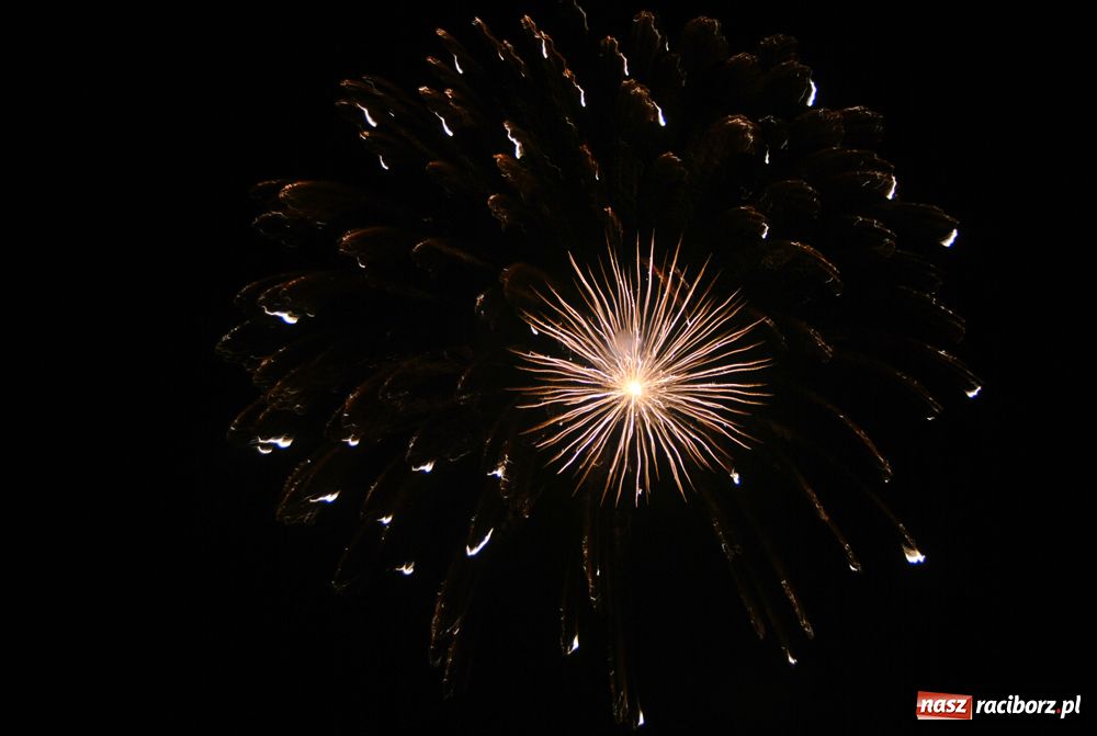 Zdjęcie w galerii na portalu naszraciborz.pl: Drugi dzień Memoriału - foto i wideo wiadomości z regionu