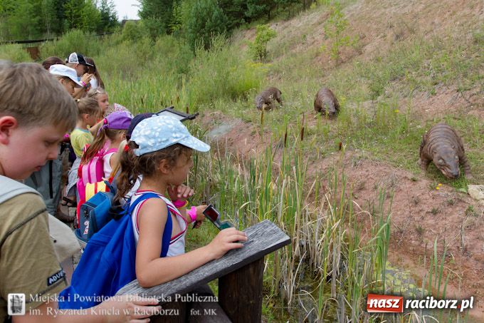 Zdjęcie w galerii na portalu naszraciborz.pl: Jurapark w Krasiejowie z Biblioteką wiadomości z regionu
