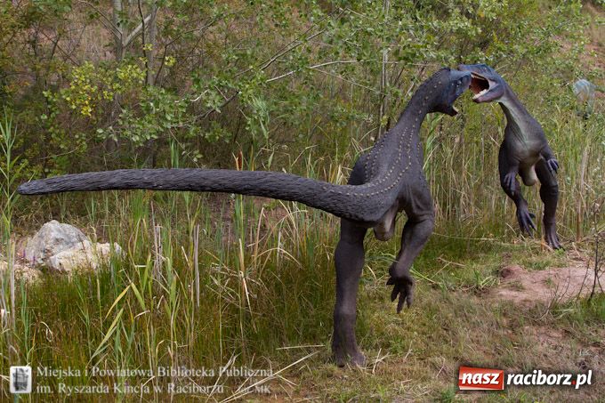 Zdjęcie w galerii na portalu naszraciborz.pl: Jurapark w Krasiejowie z Biblioteką wiadomości z regionu