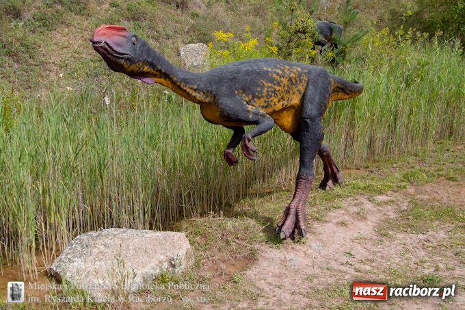 Zdjęcie w galerii na portalu naszraciborz.pl: Jurapark w Krasiejowie z Biblioteką wiadomości z regionu