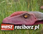 Zdjęcie w galerii na portalu naszraciborz.pl: Jurapark w Krasiejowie z Biblioteką wiadomości z regionu