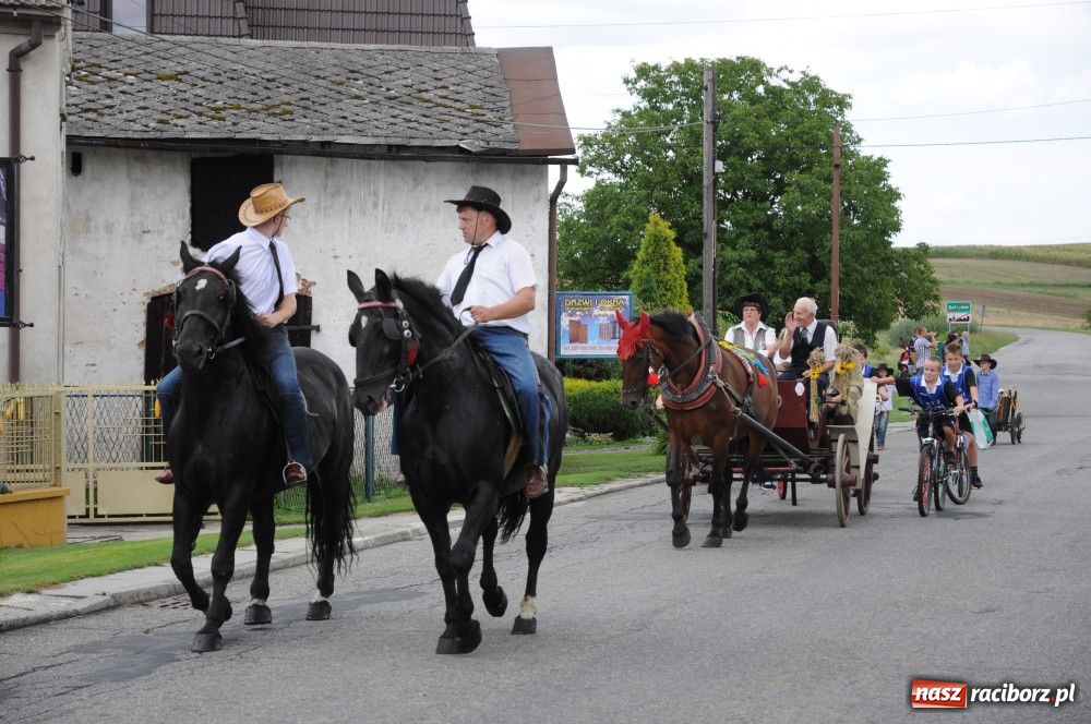 Zdjęcie w galerii na portalu naszraciborz.pl: Bocian i niesforny kot w Bolesławiu wiadomości z regionu