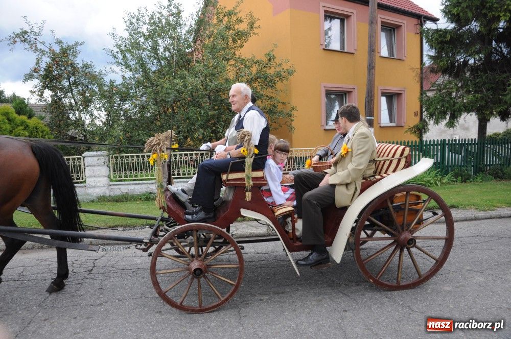 Zdjęcie w galerii na portalu naszraciborz.pl: Bocian i niesforny kot w Bolesławiu wiadomości z regionu