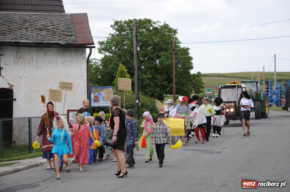 Zdjęcie w galerii na portalu naszraciborz.pl: Bocian i niesforny kot w Bolesławiu wiadomości z regionu