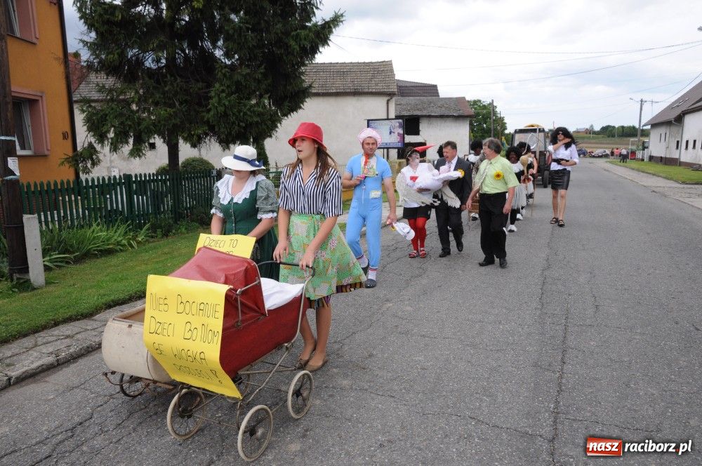 Zdjęcie w galerii na portalu naszraciborz.pl: Bocian i niesforny kot w Bolesławiu wiadomości z regionu