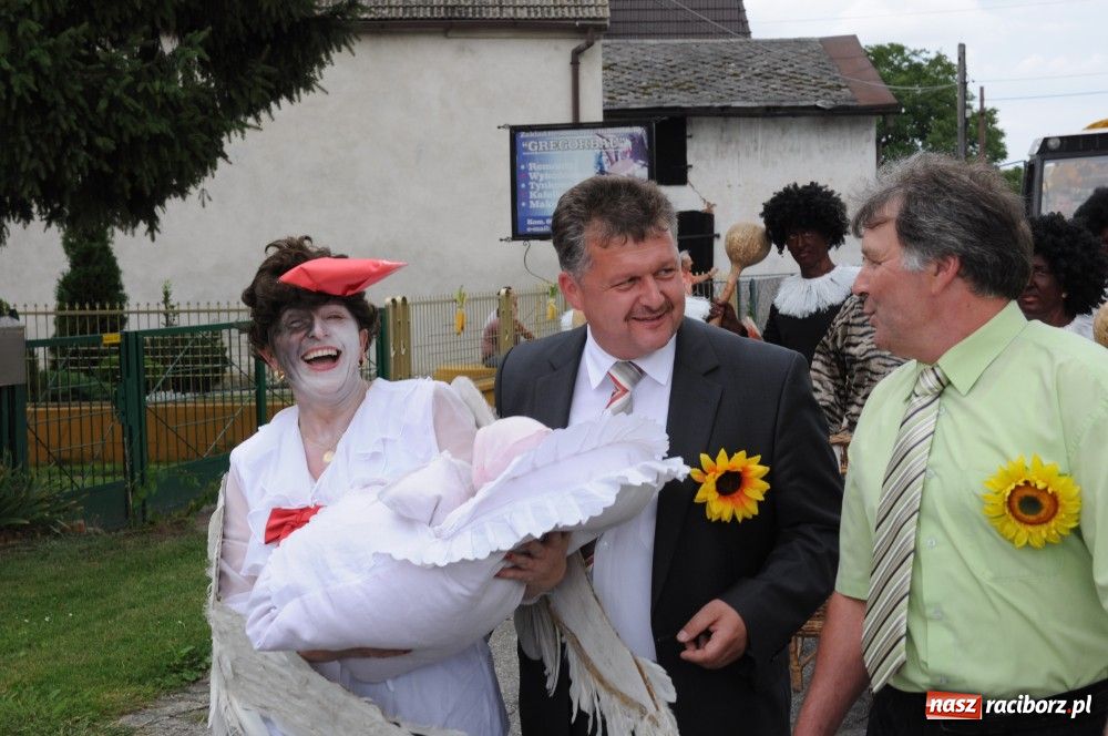 Zdjęcie w galerii na portalu naszraciborz.pl: Bocian i niesforny kot w Bolesławiu wiadomości z regionu