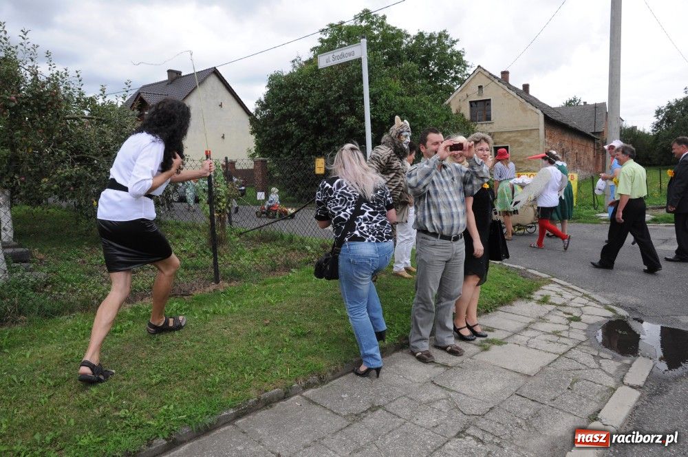 Zdjęcie w galerii na portalu naszraciborz.pl: Bocian i niesforny kot w Bolesławiu wiadomości z regionu