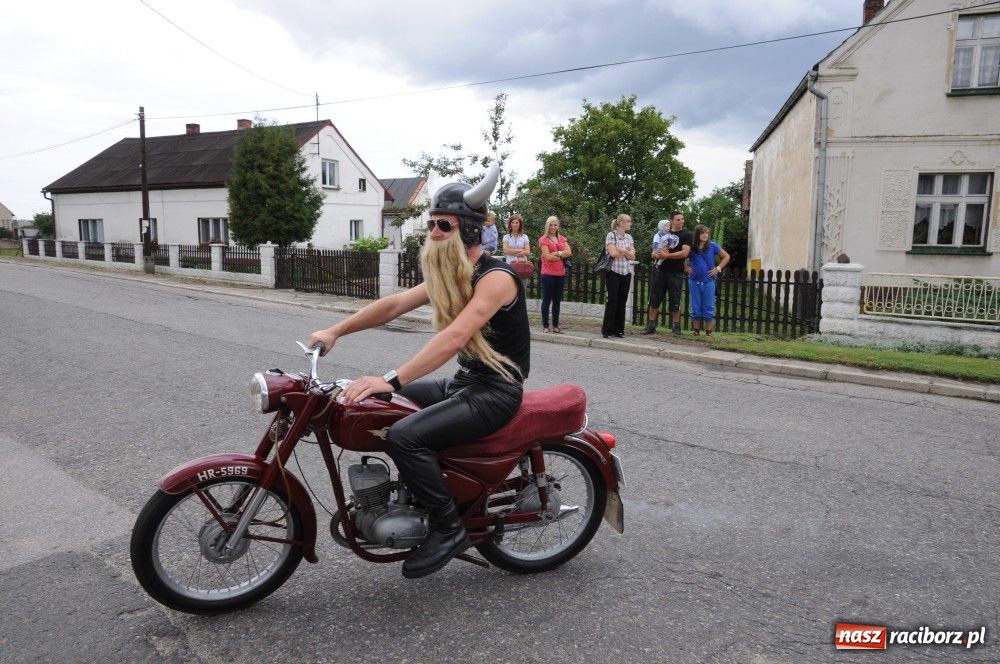 Zdjęcie w galerii na portalu naszraciborz.pl: Bocian i niesforny kot w Bolesławiu wiadomości z regionu