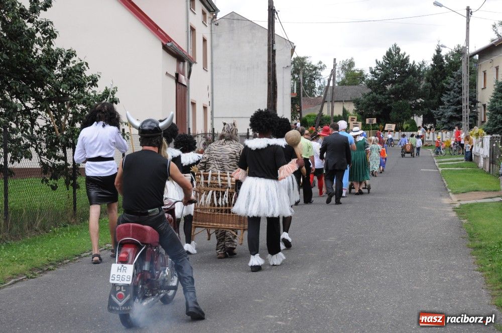 Zdjęcie w galerii na portalu naszraciborz.pl: Bocian i niesforny kot w Bolesławiu wiadomości z regionu