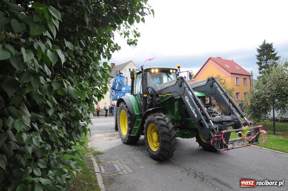 Zdjęcie w galerii na portalu naszraciborz.pl: Bocian i niesforny kot w Bolesławiu wiadomości z regionu