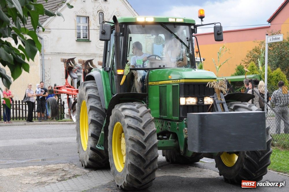 Zdjęcie w galerii na portalu naszraciborz.pl: Bocian i niesforny kot w Bolesławiu wiadomości z regionu