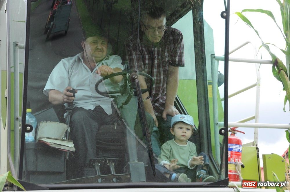 Zdjęcie w galerii na portalu naszraciborz.pl: Bocian i niesforny kot w Bolesławiu wiadomości z regionu