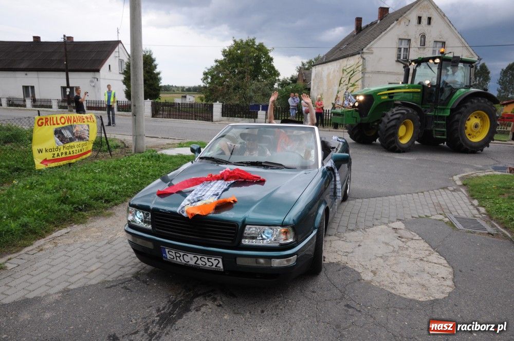 Zdjęcie w galerii na portalu naszraciborz.pl: Bocian i niesforny kot w Bolesławiu wiadomości z regionu