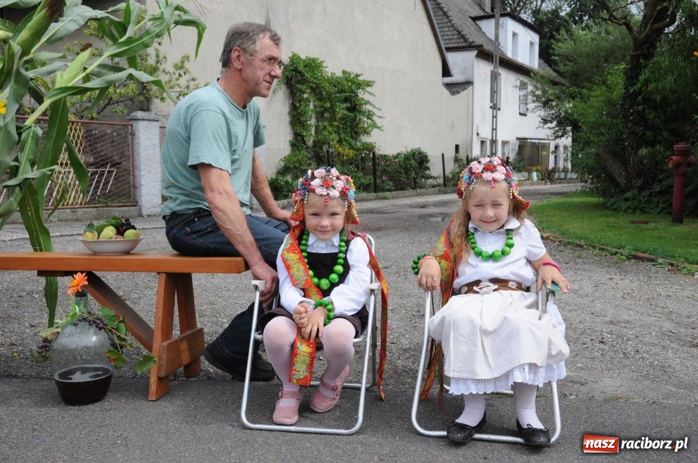 Zdjęcie w galerii na portalu naszraciborz.pl: Bocian i niesforny kot w Bolesławiu wiadomości z regionu
