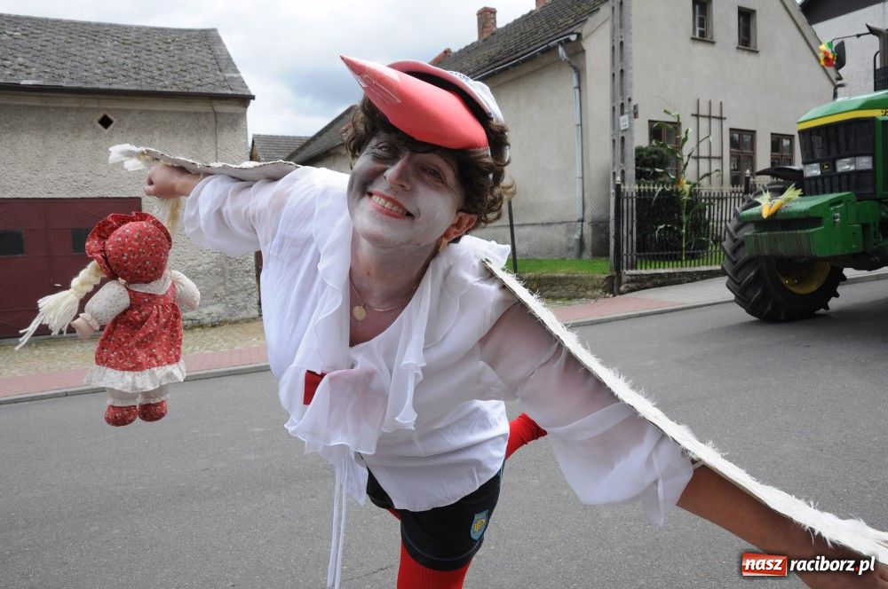 Zdjęcie w galerii na portalu naszraciborz.pl: Bocian i niesforny kot w Bolesławiu wiadomości z regionu