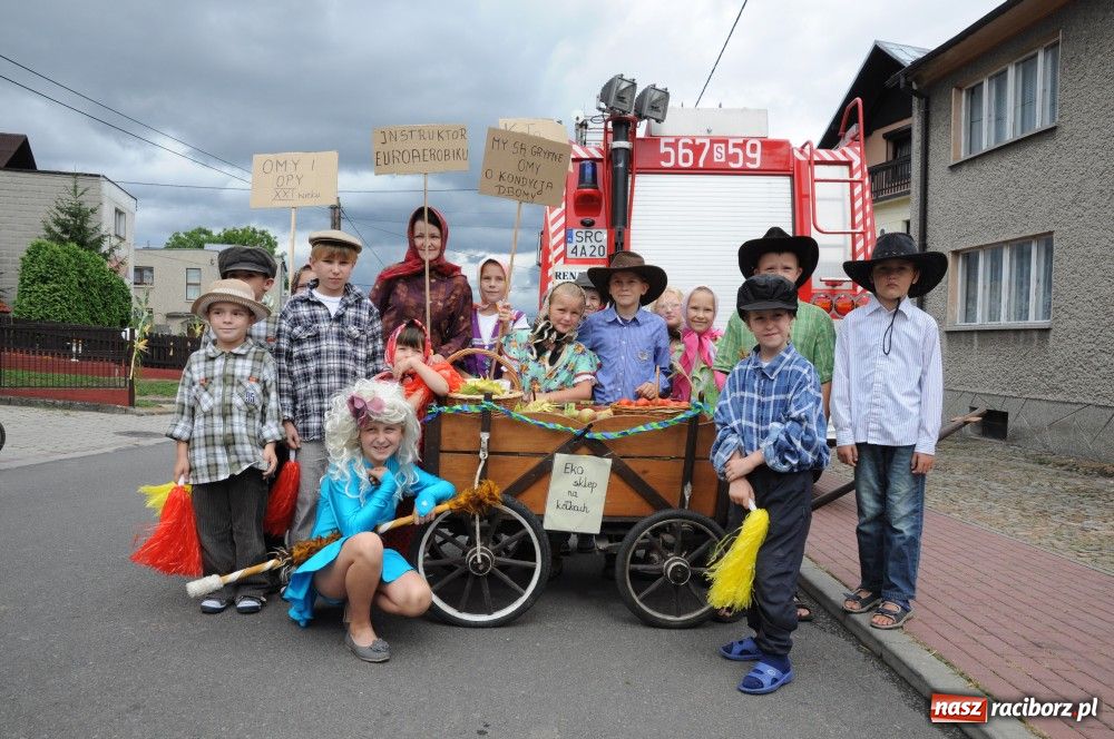 Zdjęcie w galerii na portalu naszraciborz.pl: Bocian i niesforny kot w Bolesławiu wiadomości z regionu