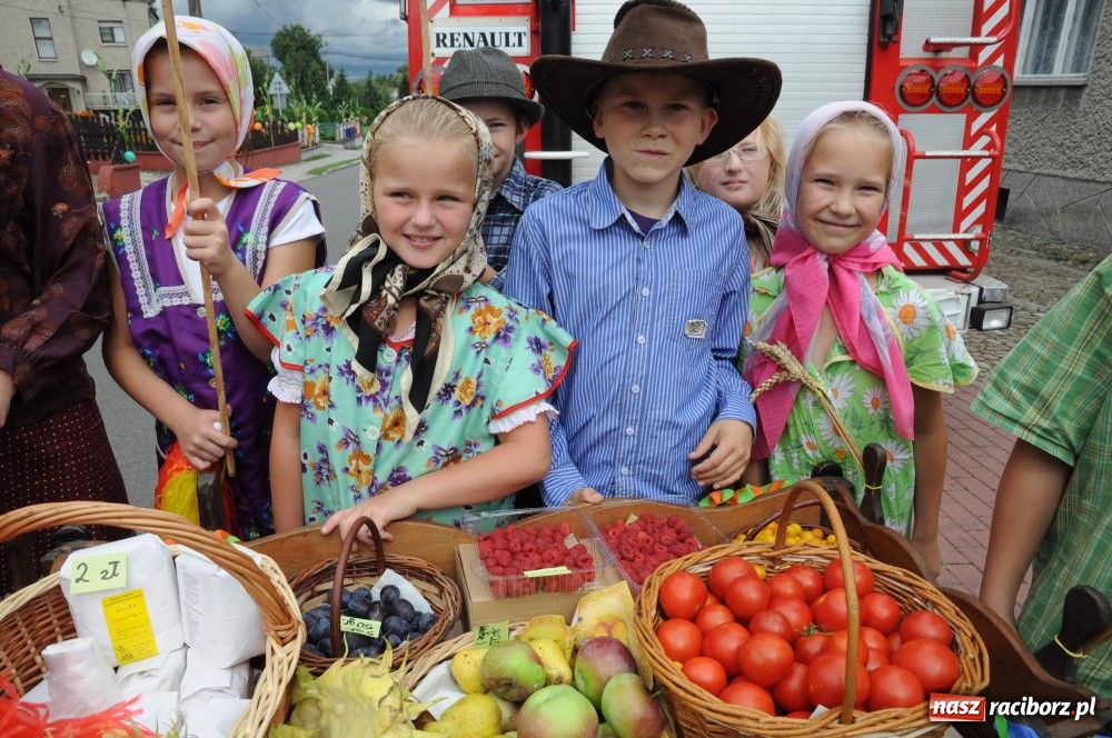 Zdjęcie w galerii na portalu naszraciborz.pl: Bocian i niesforny kot w Bolesławiu wiadomości z regionu