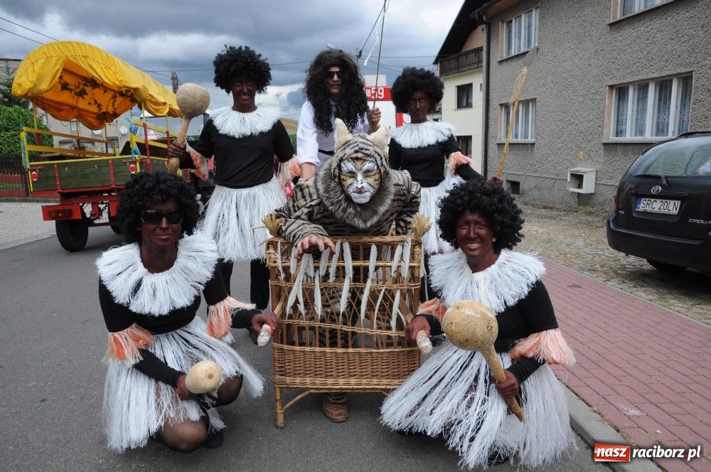 Zdjęcie w galerii na portalu naszraciborz.pl: Bocian i niesforny kot w Bolesławiu wiadomości z regionu