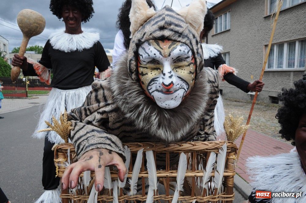 Zdjęcie w galerii na portalu naszraciborz.pl: Bocian i niesforny kot w Bolesławiu wiadomości z regionu