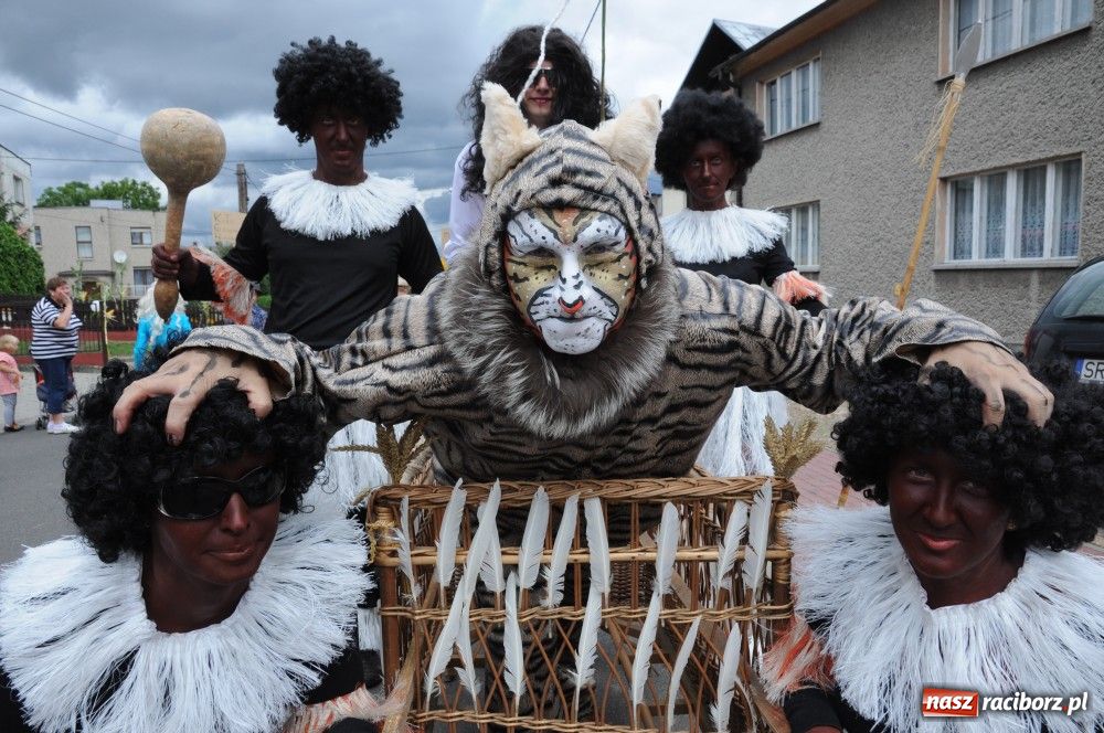 Zdjęcie w galerii na portalu naszraciborz.pl: Bocian i niesforny kot w Bolesławiu wiadomości z regionu