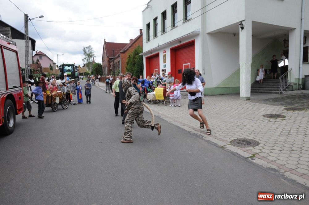 Zdjęcie w galerii na portalu naszraciborz.pl: Bocian i niesforny kot w Bolesławiu wiadomości z regionu