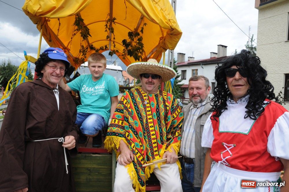 Zdjęcie w galerii na portalu naszraciborz.pl: Bocian i niesforny kot w Bolesławiu wiadomości z regionu