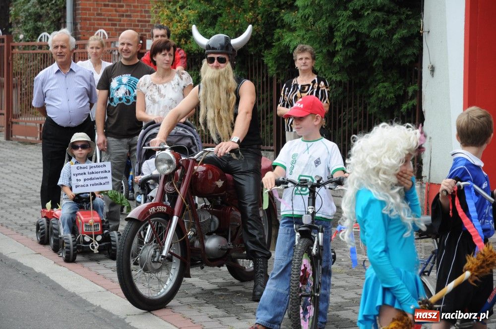 Zdjęcie w galerii na portalu naszraciborz.pl: Bocian i niesforny kot w Bolesławiu wiadomości z regionu