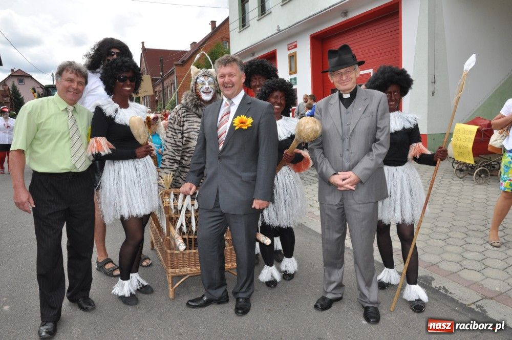Zdjęcie w galerii na portalu naszraciborz.pl: Bocian i niesforny kot w Bolesławiu wiadomości z regionu