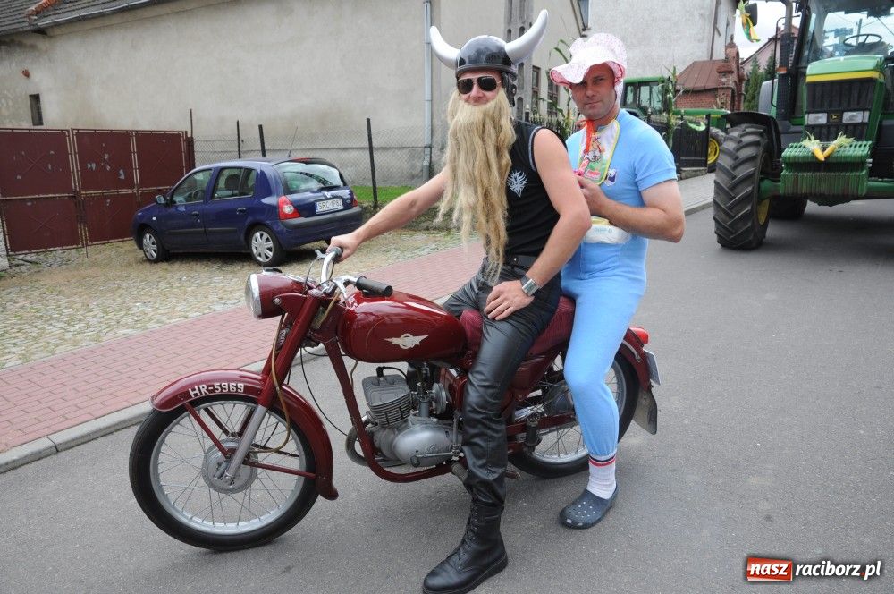 Zdjęcie w galerii na portalu naszraciborz.pl: Bocian i niesforny kot w Bolesławiu wiadomości z regionu