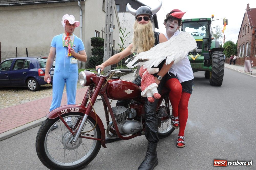 Zdjęcie w galerii na portalu naszraciborz.pl: Bocian i niesforny kot w Bolesławiu wiadomości z regionu