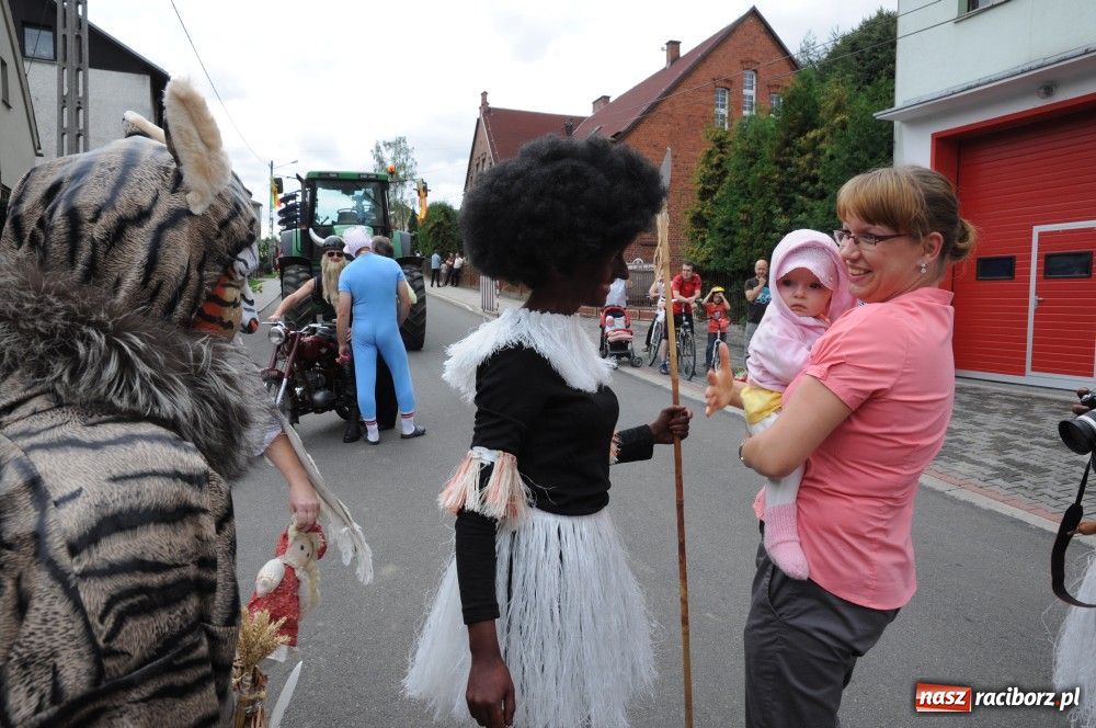 Zdjęcie w galerii na portalu naszraciborz.pl: Bocian i niesforny kot w Bolesławiu wiadomości z regionu