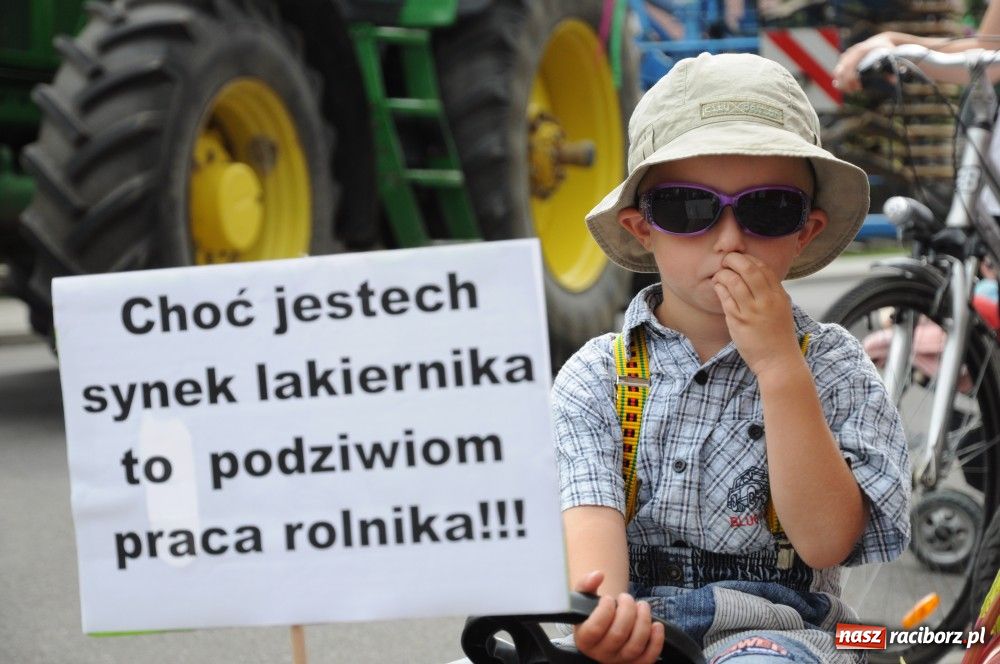 Zdjęcie w galerii na portalu naszraciborz.pl: Bocian i niesforny kot w Bolesławiu wiadomości z regionu