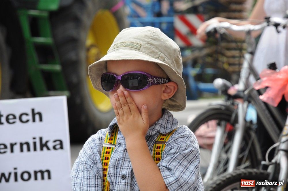 Zdjęcie w galerii na portalu naszraciborz.pl: Bocian i niesforny kot w Bolesławiu wiadomości z regionu