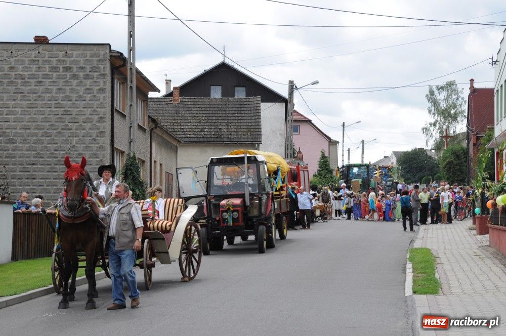 Zdjęcie w galerii na portalu naszraciborz.pl: Bocian i niesforny kot w Bolesławiu wiadomości z regionu