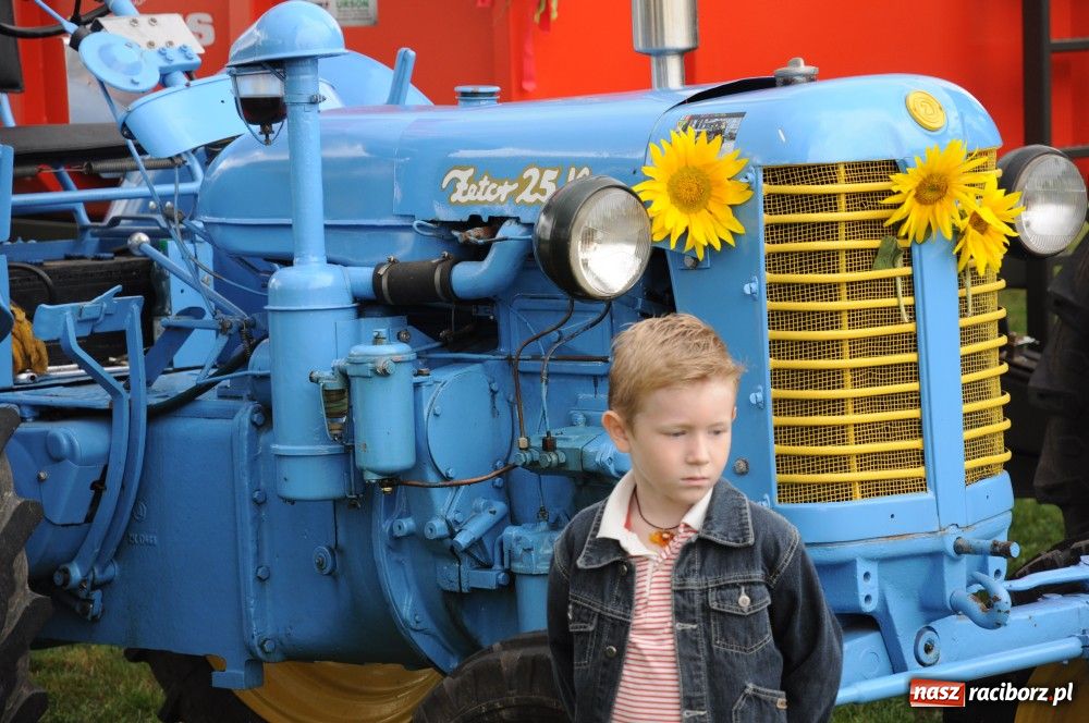 Zdjęcie w galerii na portalu naszraciborz.pl: Tu starostami są wszyscy mieszkańcy wiadomości z regionu