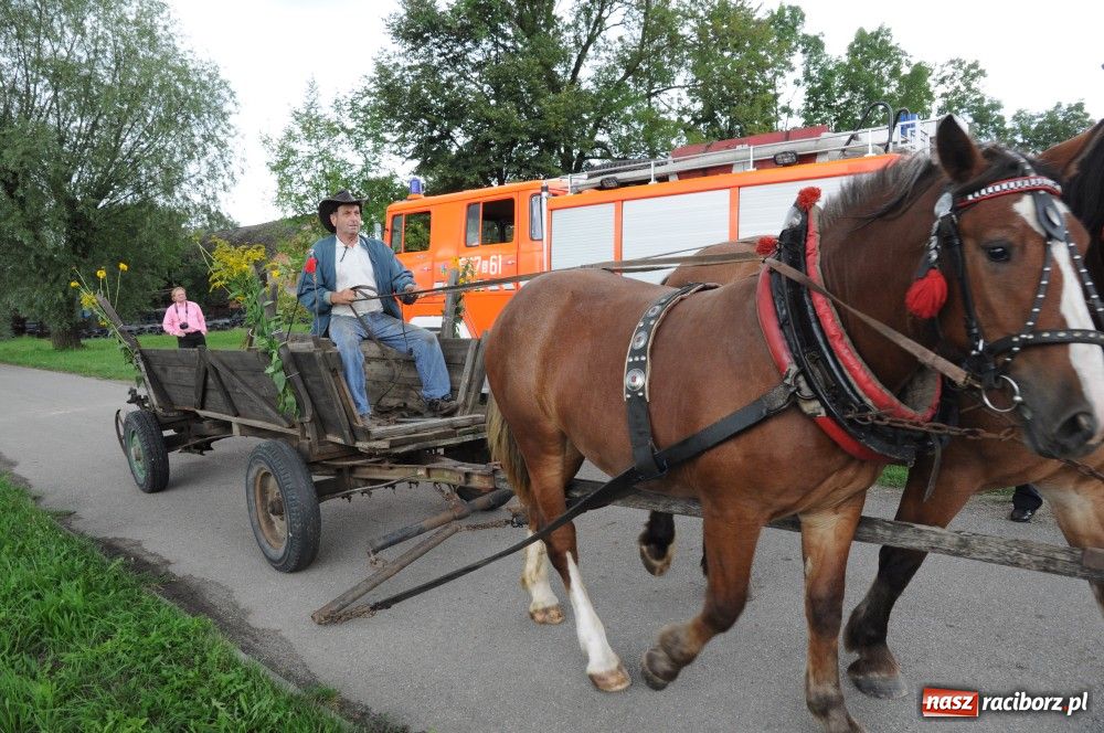 Zdjęcie w galerii na portalu naszraciborz.pl: Tu starostami są wszyscy mieszkańcy wiadomości z regionu