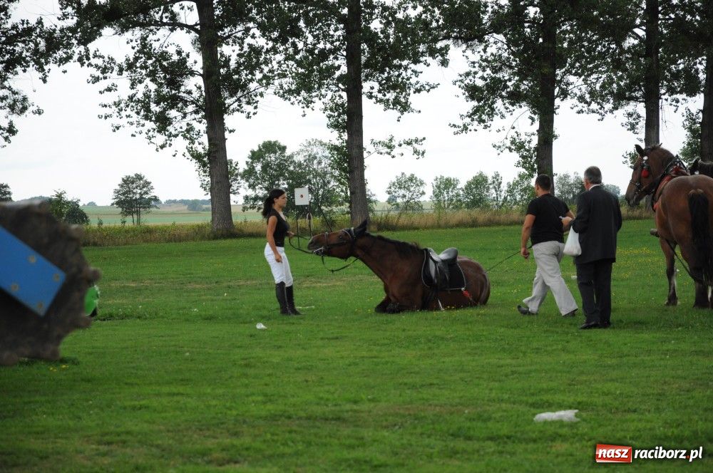 Zdjęcie w galerii na portalu naszraciborz.pl: Tu starostami są wszyscy mieszkańcy wiadomości z regionu