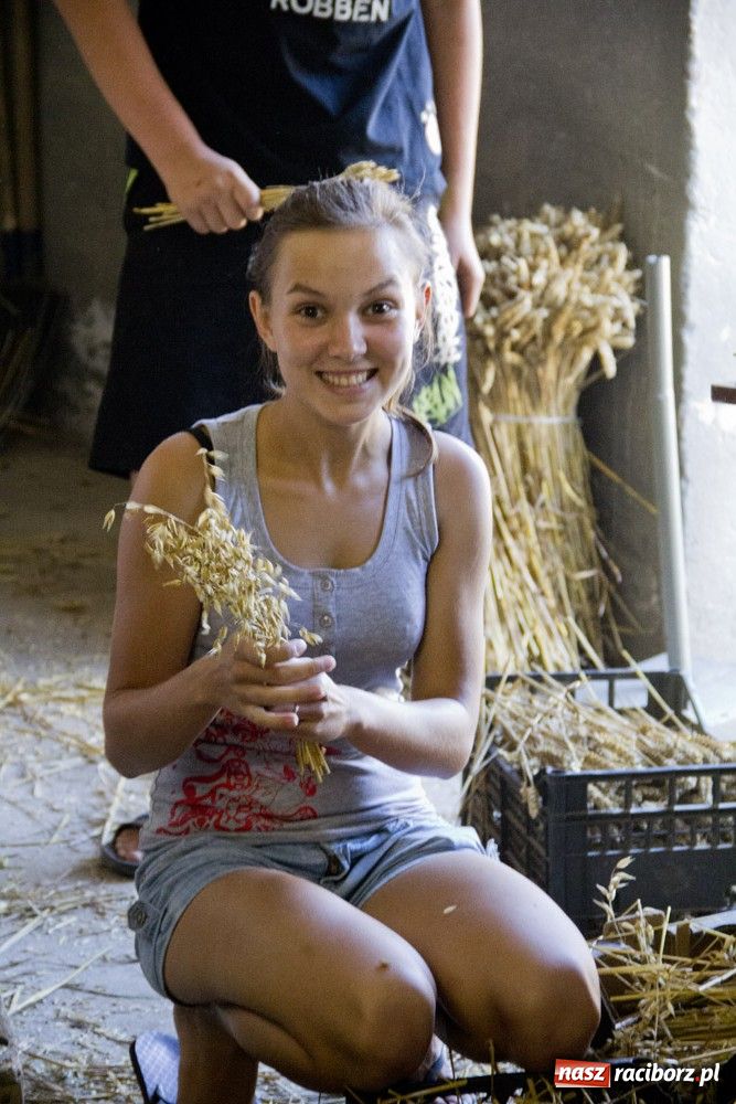 Zdjęcie w galerii na portalu naszraciborz.pl: Przygotowania do dożynek rozpoczęte wiadomości z regionu