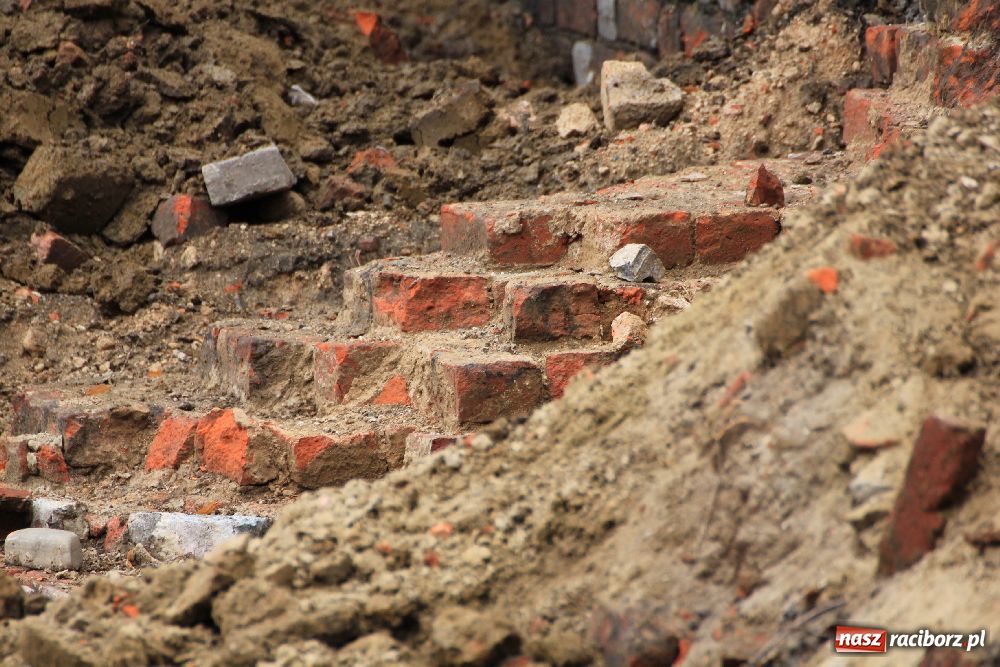 Zdjęcie w galerii na portalu naszraciborz.pl: Ciekawe odkrycia w Ekonomiku wiadomości z regionu